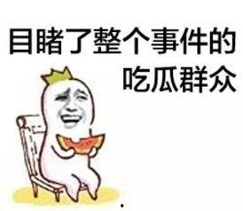 吃瓜群众土豪招人视频,揭秘奢华企业招聘现场