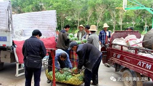 大型盛装吃瓜群众现场图片,大型吃瓜群众现场，欢乐氛围一览无余