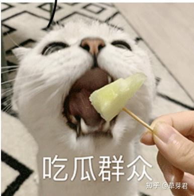 吃瓜的群众到此一游,揭秘“到此一游”背后的社会现象