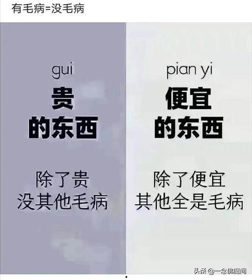 良心商家吃瓜群众,共筑诚信消费新风尚