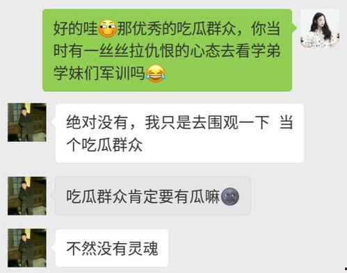 吃瓜群众申论,吃瓜群众视角下的申论世界