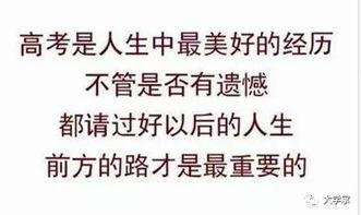 吃瓜群众被追责,网络言论的边界与责任