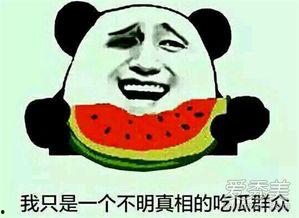 吃瓜群众怎么接,揭秘“吃瓜群众”背后的网络现象与心理解读