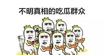 新城区吃瓜群众事件,一场网络舆论的风暴与反思