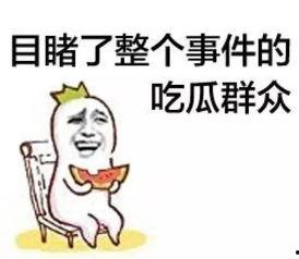 冷眼的吃瓜群众,吃瓜群众揭秘娱乐圈真相