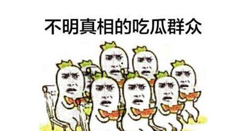 纯属瞎闹吃瓜群众,吃瓜群众眼中的娱乐圈风云