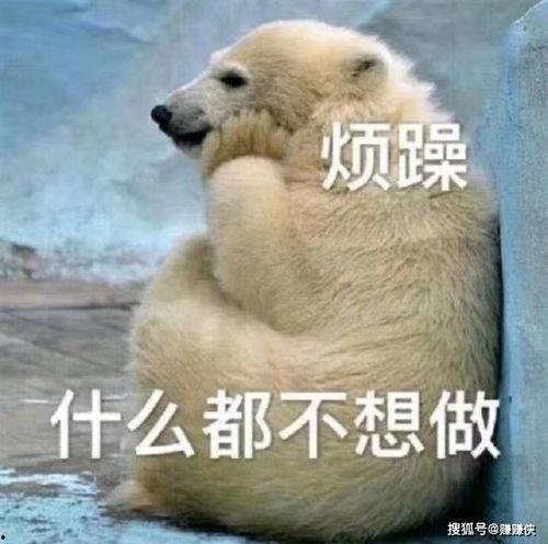 最精神的吃瓜群众图片,网络红人的幕后故事