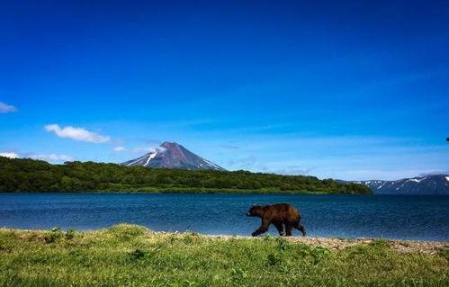 吃瓜群众吴导拍摄时间,揭秘吃瓜群众导演的拍摄时光