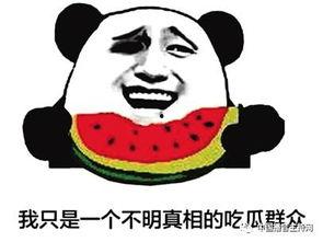 四川传媒吃瓜群众是谁啊,吃瓜群众背后的神秘力量