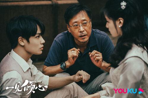 吃瓜群众电视剧一见倾心,吃瓜群众眼中的甜蜜爱情剧