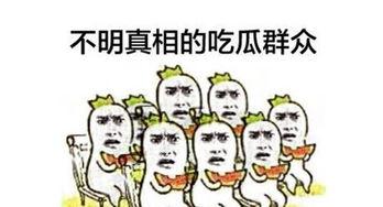 吃瓜群众网站是什么,网络舆论场中的独特存在
