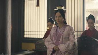 张芷溪吃瓜群众事件,网络舆论的狂欢与反思