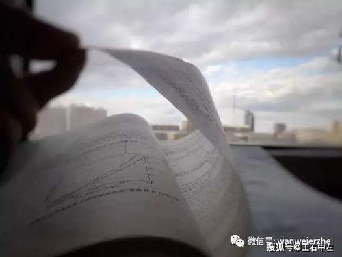 图穷吃瓜群众岱岱,揭秘网络热议背后的真相