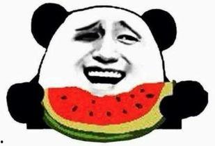 捞瓜群众吃瓜视频,吃瓜视频背后的趣味与真相